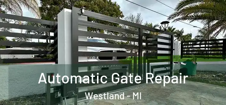  Automatic Gate Repair Westland - MI
