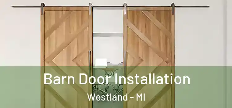  Barn Door Installation Westland - MI