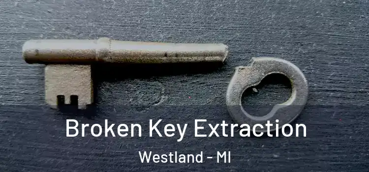 Broken Key Extraction Westland - MI