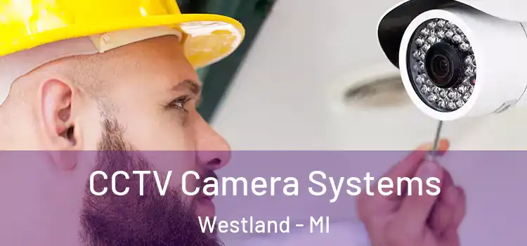  CCTV Camera Systems Westland - MI