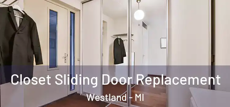  Closet Sliding Door Replacement Westland - MI