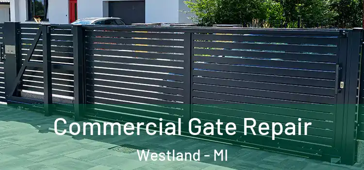  Commercial Gate Repair Westland - MI