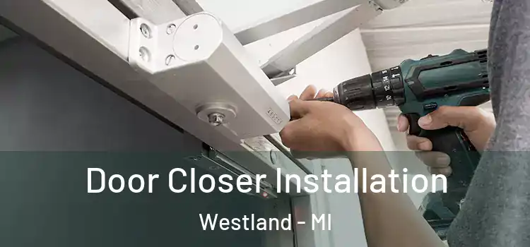  Door Closer Installation Westland - MI