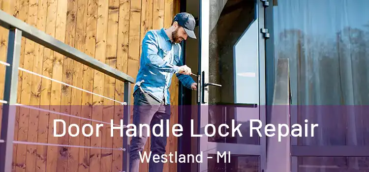  Door Handle Lock Repair Westland - MI