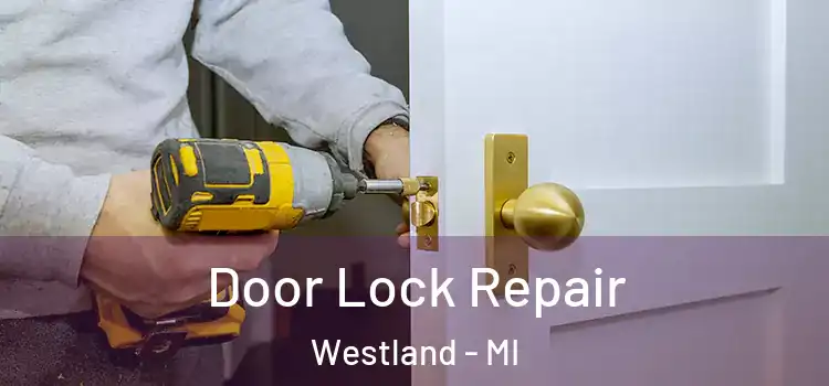  Door Lock Repair Westland - MI