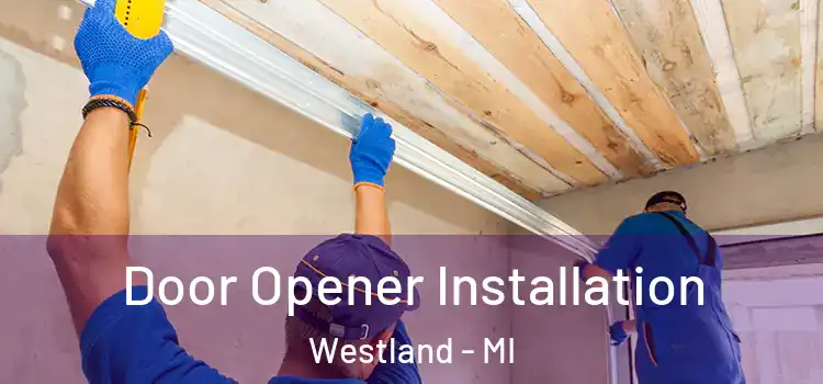  Door Opener Installation Westland - MI