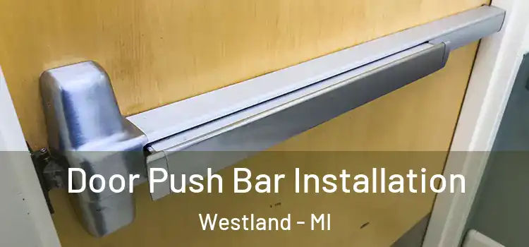  Door Push Bar Installation Westland - MI