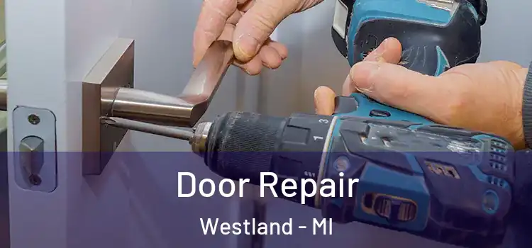 Door Repair Westland - MI