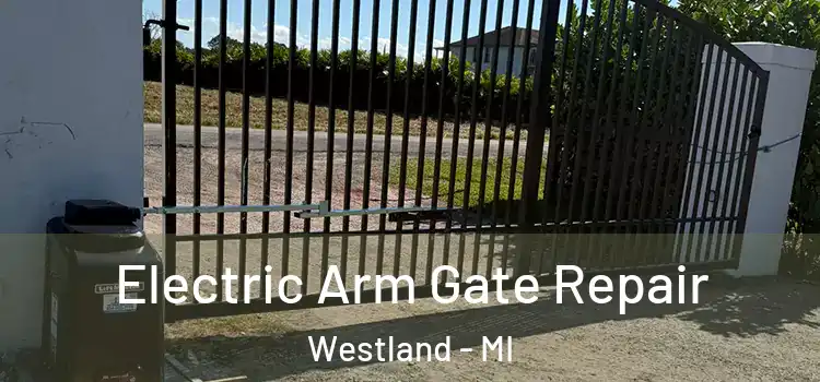  Electric Arm Gate Repair Westland - MI