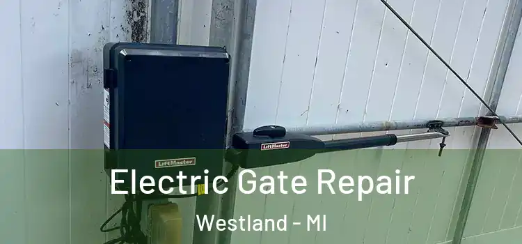  Electric Gate Repair Westland - MI