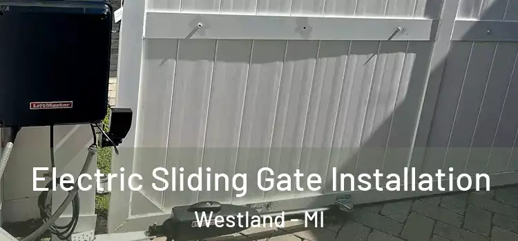  Electric Sliding Gate Installation Westland - MI