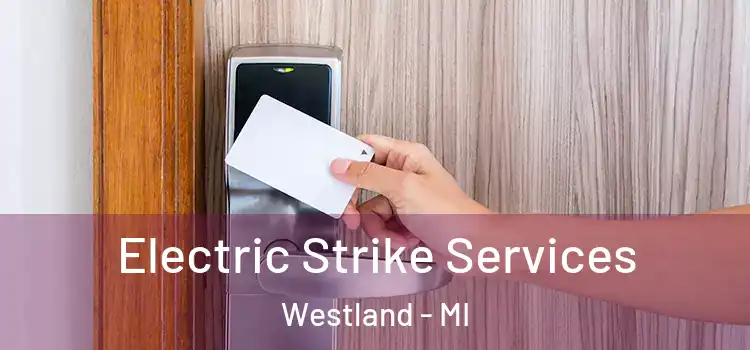  Electric Strike Services Westland - MI