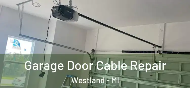  Garage Door Cable Repair Westland - MI