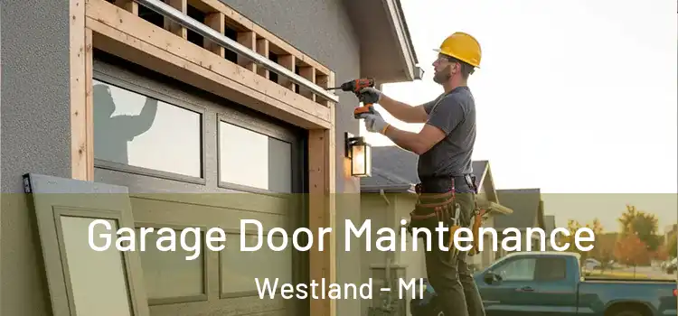 Garage Door Maintenance Westland - MI