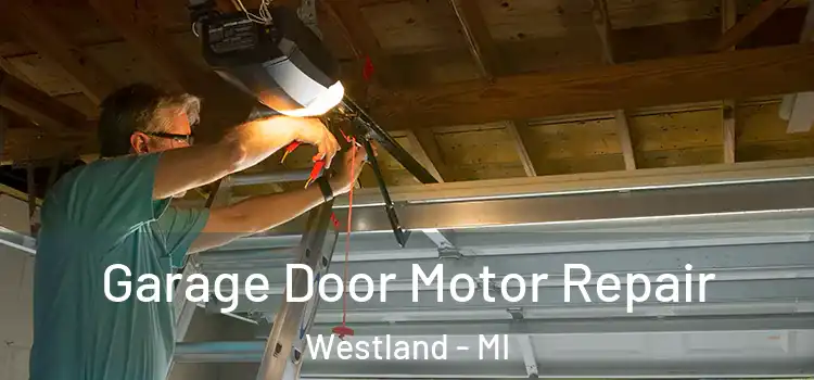  Garage Door Motor Repair Westland - MI