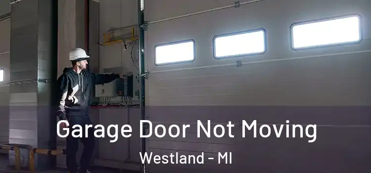  Garage Door Not Moving Westland - MI