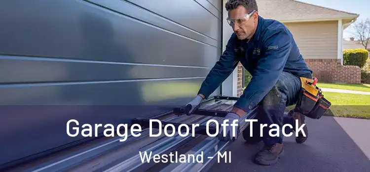  Garage Door Off Track Westland - MI