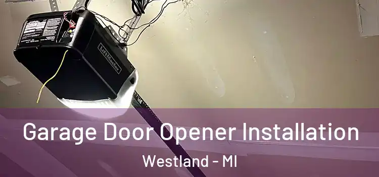  Garage Door Opener Installation Westland - MI