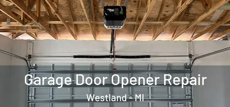  Garage Door Opener Repair Westland - MI