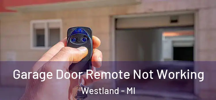  Garage Door Remote Not Working Westland - MI