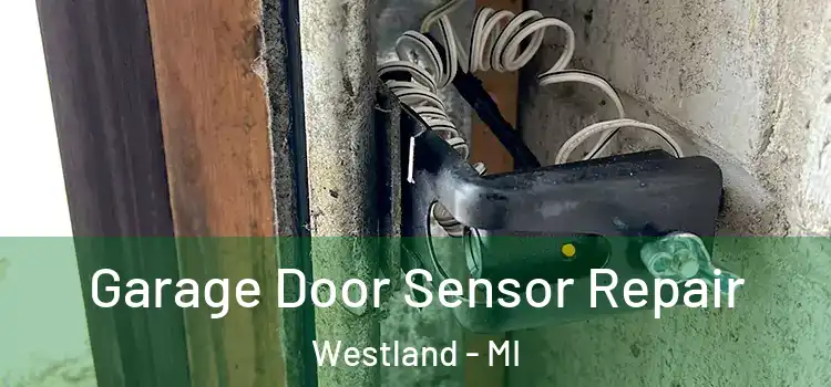  Garage Door Sensor Repair Westland - MI