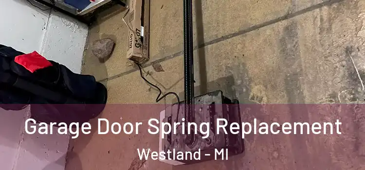  Garage Door Spring Replacement Westland - MI