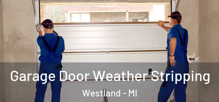  Garage Door Weather Stripping Westland - MI