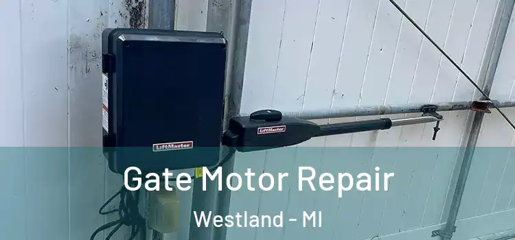  Gate Motor Repair Westland - MI