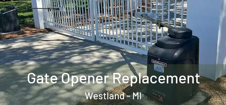  Gate Opener Replacement Westland - MI