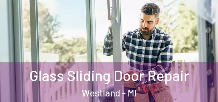  Glass Sliding Door Repair Westland - MI