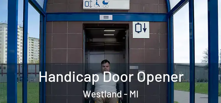  Handicap Door Opener Westland - MI