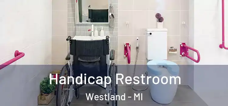  Handicap Restroom Westland - MI
