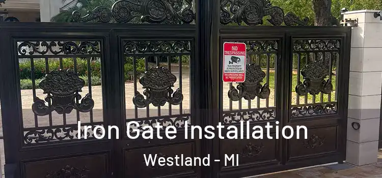  Iron Gate Installation Westland - MI