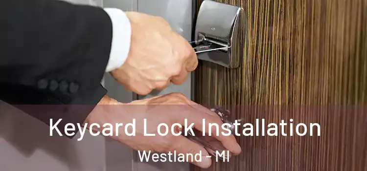  Keycard Lock Installation Westland - MI
