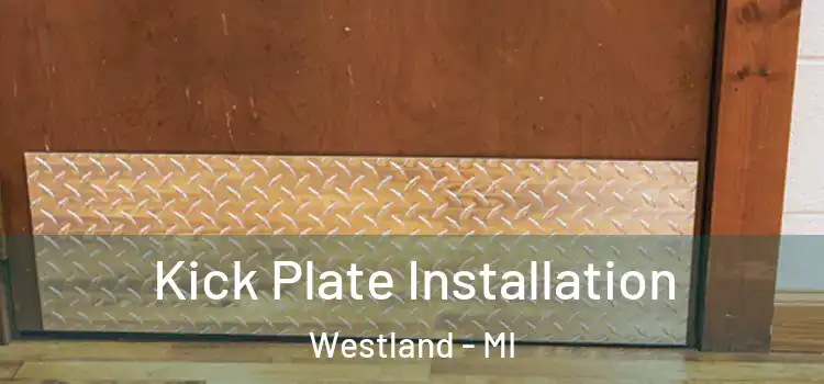  Kick Plate Installation Westland - MI