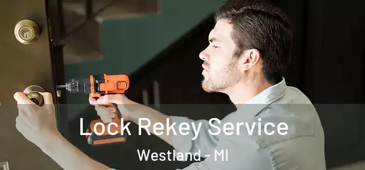 Lock Rekey Service Westland - MI
