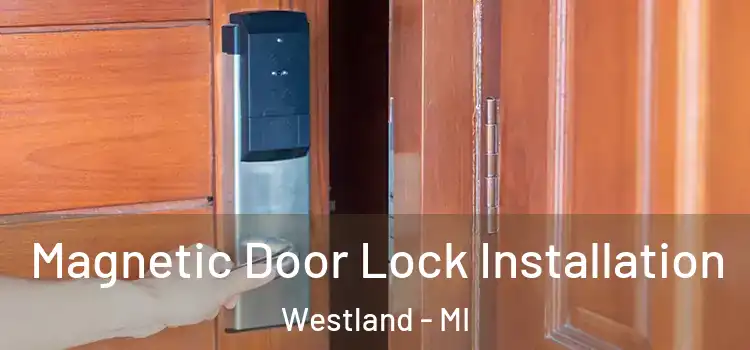  Magnetic Door Lock Installation Westland - MI