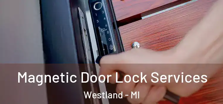  Magnetic Door Lock Services Westland - MI