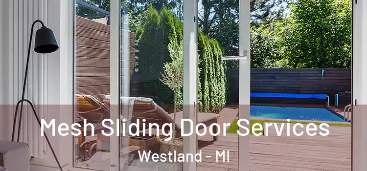  Mesh Sliding Door Services Westland - MI