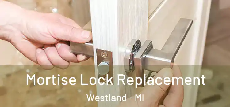  Mortise Lock Replacement Westland - MI