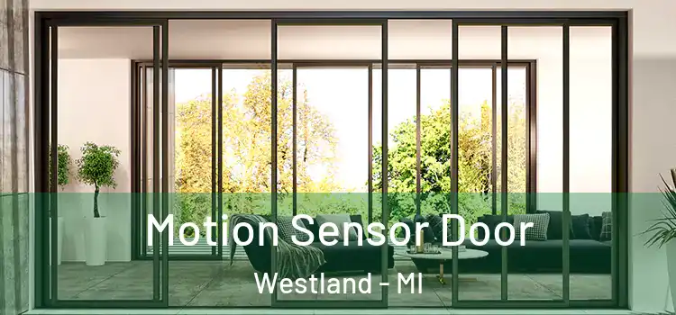 Motion Sensor Door Westland - MI