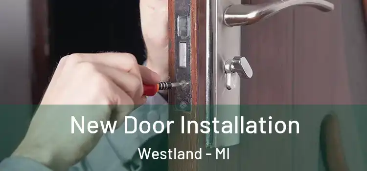  New Door Installation Westland - MI