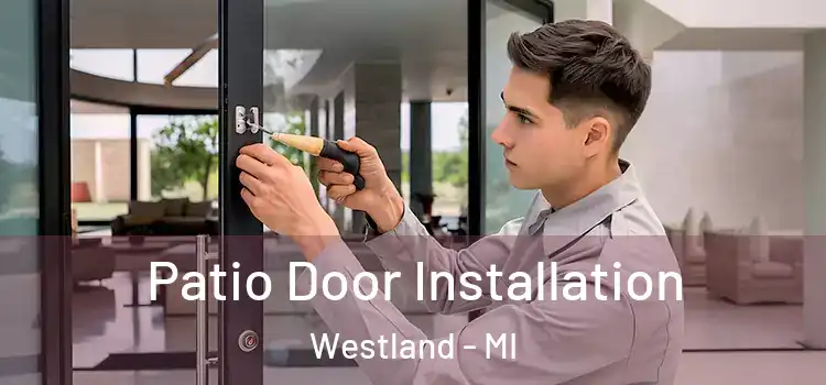  Patio Door Installation Westland - MI