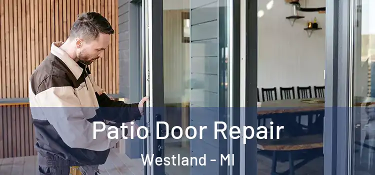 Patio Door Repair Westland - MI
