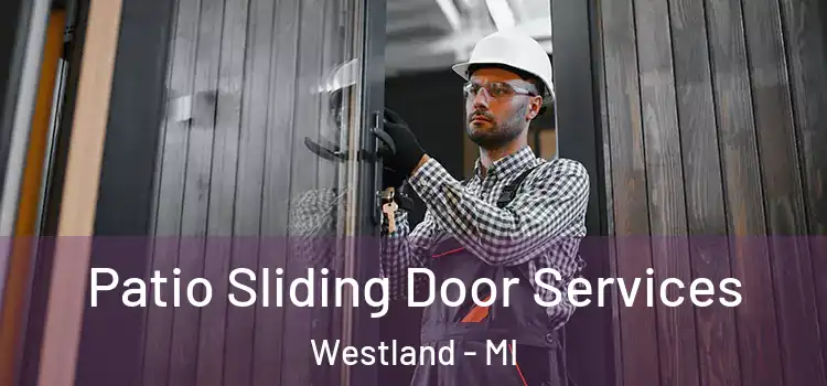 Patio Sliding Door Services Westland - MI