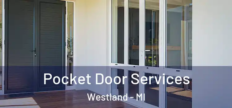  Pocket Door Services Westland - MI