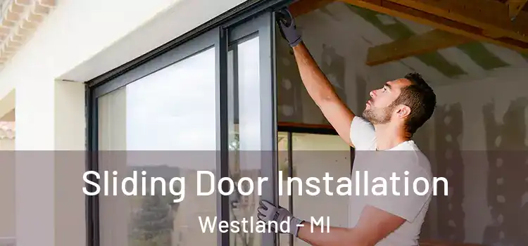  Sliding Door Installation Westland - MI