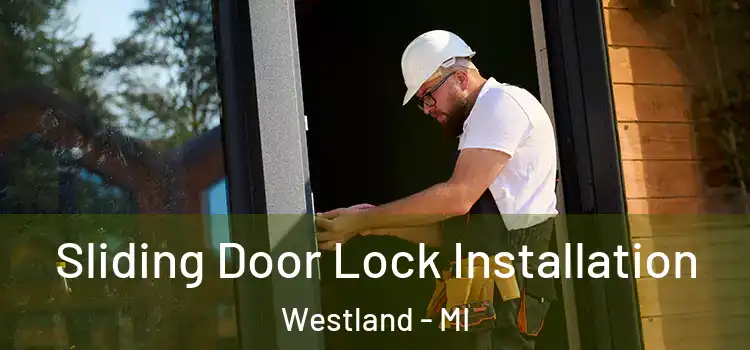  Sliding Door Lock Installation Westland - MI
