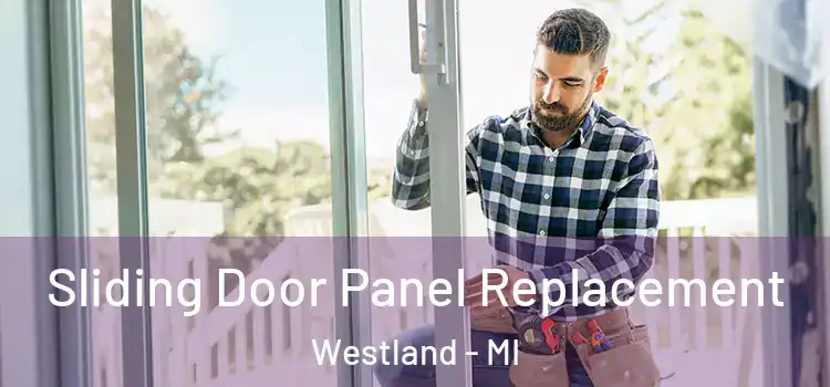  Sliding Door Panel Replacement Westland - MI
