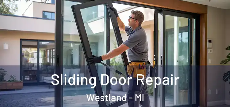  Sliding Door Repair Westland - MI